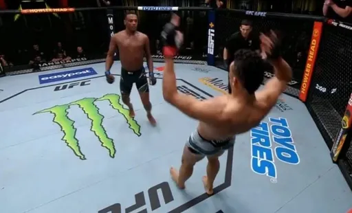Стали известны обладатели бонусов на турнире UFC Vegas 48