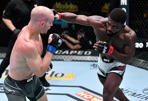 Палатников проиграл Касанганаю на UFC on ABC 2