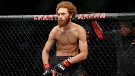 Луис Пенья уволен из UFC после ареста за домашнее насилие