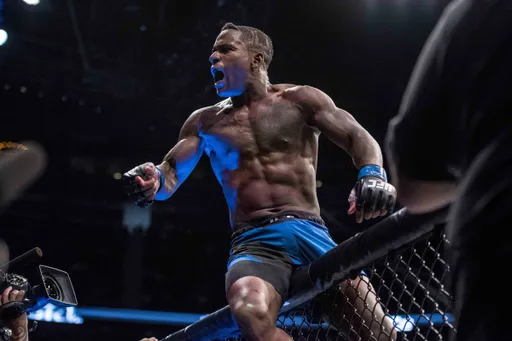 Ларкин встретится с ван Стинисом на Bellator 258