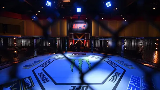 Winline стал официальным спонсором UFC в России