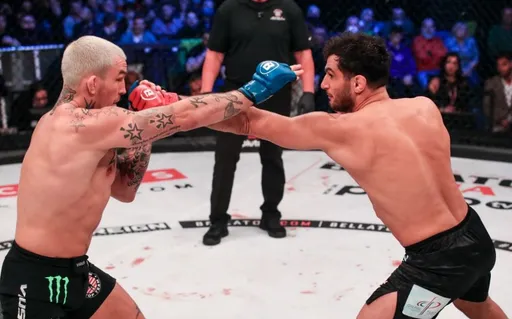 Гегард Мусаси техническим нокаутом победил Остина Вандерфорда на Bellator 275