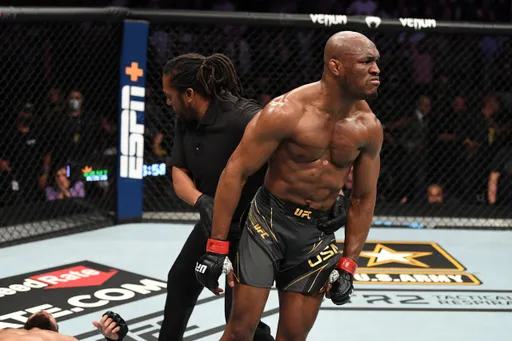 UFC 261. Обзор титульных поединков