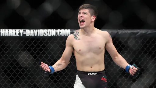 Морено стал первым мексиканским чемпионом UFC, родившимся в Мексике