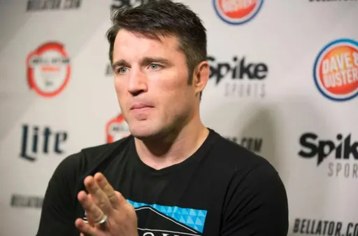 Соннен: UFC нужно организовать бой Чендлера и Гейджи