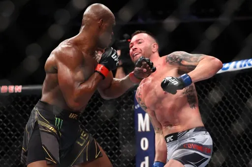 Стали известны гонорары участников турнира UFC 268