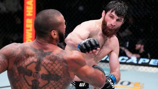 Анкалаев поднялся на четвертое место в рейтинге полутяжелого дивизиона UFC