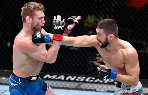 Гамрот нокаутировал Холцмена на UFC on ABC 2