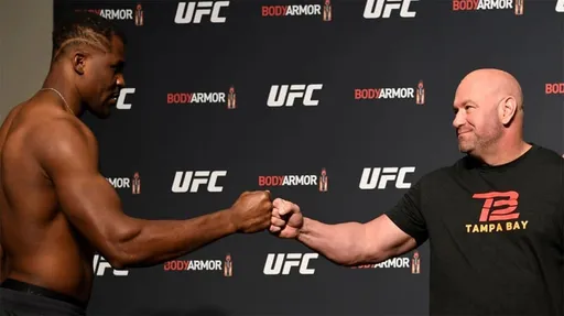 Фрэнсис Нганну может уйти из UFC после боя против Сирила Гана