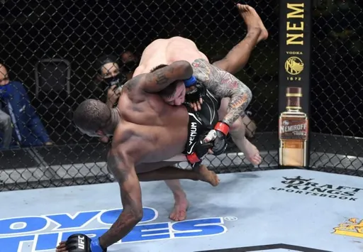 Веттори победил Холланда на UFC on ABC 2