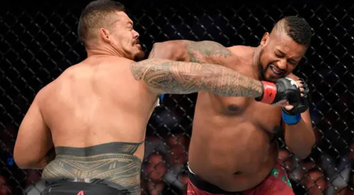 Экс-боец UFC Йорган де Кастро проведет бой с Шоном Ашером в лиге Хабиба