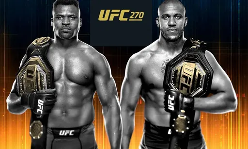Стали известны результаты турнира UFC 270