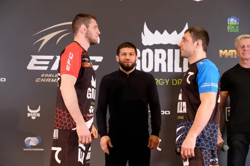 Швец одержал досрочную победу на EFC 35