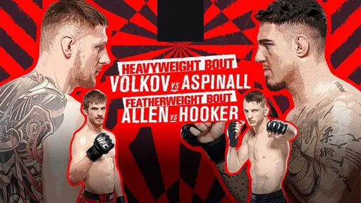 Стали известны результаты турнира UFC Fight Night 204: Волков – Аспиналл