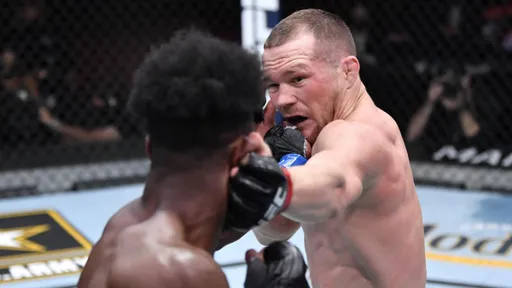 В UFC пока не подтвердили реванш Яна со Стерлингом