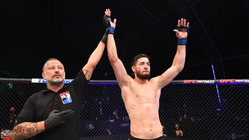 Имавов победил Хейниша техническим нокаутом на UFC on ESPN 27
