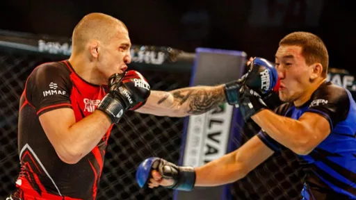 Прямая трансляция чемпионата мира по MMA 2022 года. День 4. Смотреть онлайн