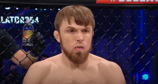 Магомедов победил Гамильтона на Bellator 255