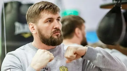 Минаков предсказал исход потенциальной трилогии Минеева и Исмаилова