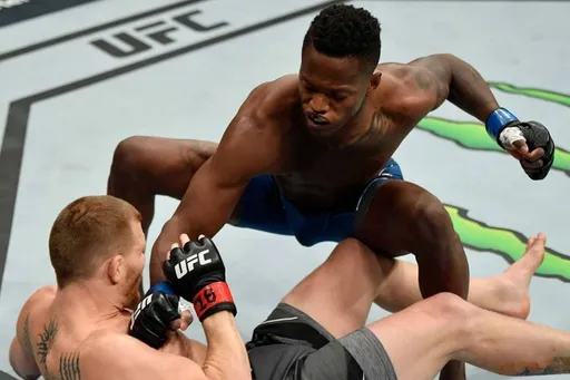 Рекордсмен UFC Маккинни проведет бой с Зиамом 20 ноября