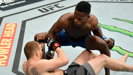 Террэнс Маккинни победил Мэтта Фреволу нокаутом на турнире UFC 263