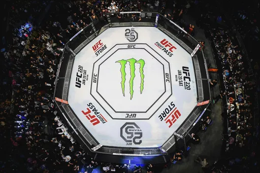 Disney планирует купить UFC за 4,3 миллиарда долларов