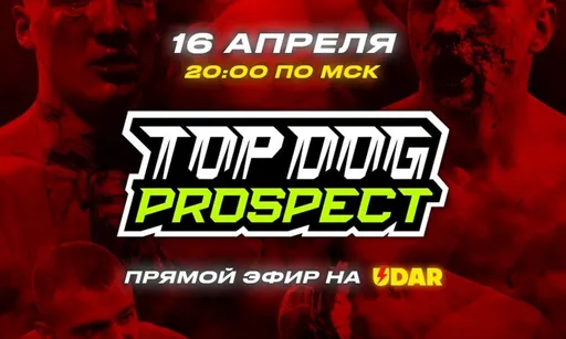 Одна из лучших лиг по боям на голых кулаках открывает новые имена. Где смотреть турнир Top Dog 16 апреля