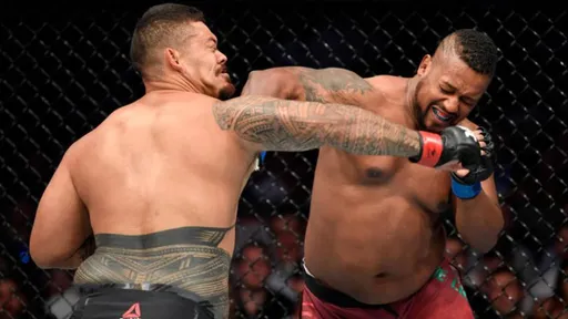 Промоушен UFC уволил еще трех бойцов