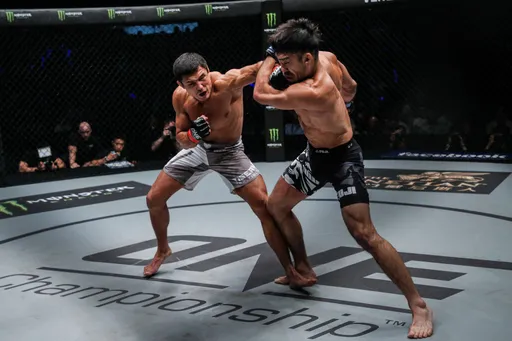 Настюхин уступил Ли в титульном поединке ONE Championship