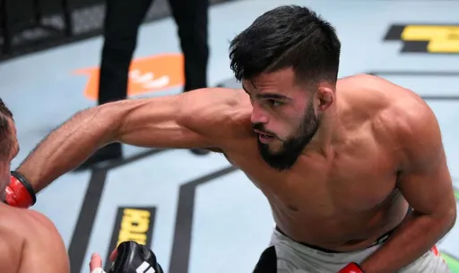 Бой Насрат Хакпараст – Джон Макдесси состоится 19 февраля на UFC Fight Night