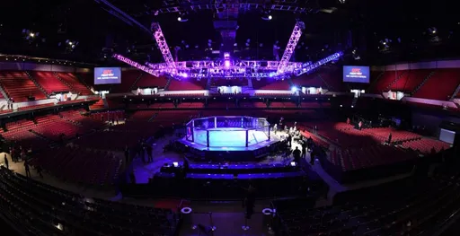 UFC вернется в Россию не раньше 2022 года