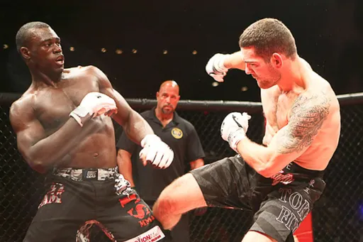 Реванш между Вайдманом и Холлом пройдет на UFC 261
