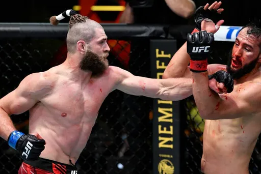 В UFC назвали нокаут Прохазки одним из лучших в году