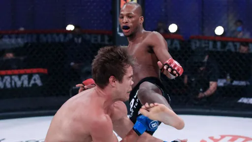 Бойца Bellator Андерсона отстранили на шесть месяцев за скрытие проблем с почками