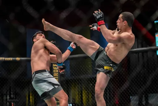 Уиттакер победил Гастелума на UFC on ESPN 22