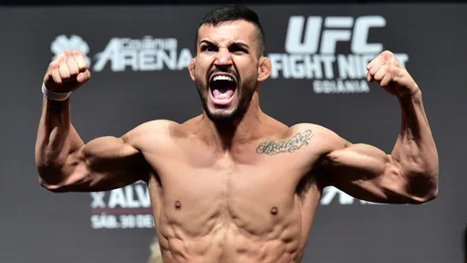 Боец UFC Мирсад Бектич принял решение завершить профессиональную карьеру