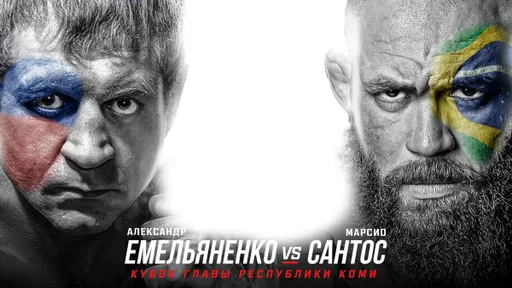 Прогнозы представителей MMA-сообщества на бой Емельяненко – Сантос
