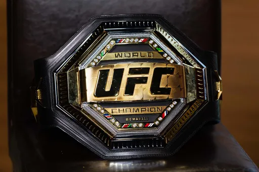 Взлеты и падения UFC: история главного промоушена MMA от самого начала и до наших дней