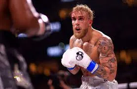 Джейк Пол инвестировал в компанию-владелицу промоушена UFC