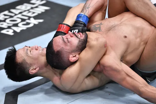 Вечер «Бэк-маунтов» на UFC Vegas 29. Возвращение «Корейского зомби» и очередное поражение Олейника