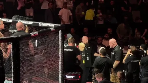 Матушка-земля НА АРЕНЕ В АБУ-ДАБИ | Выход Вальтера Уокера на UFC 321