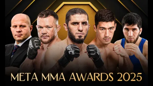 Главные ГЕРОИ 2025 года в российских единоборствах | Meta MMA Awards 2025 | ИТОГИ