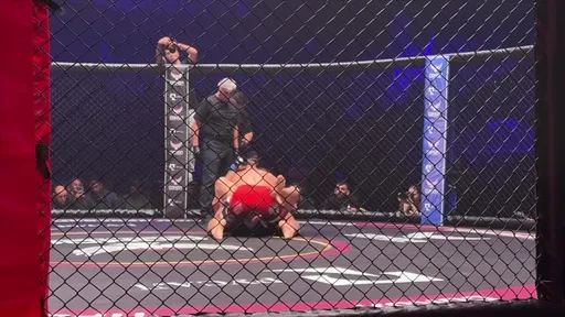 СЛОМАЛ экс-бойца UFC | ПОБЕДА Виктора Немкова над Джуниором Альбини на турнире лиги "Сокол"