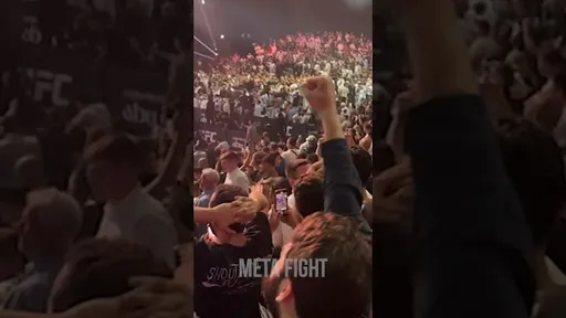 Холлоуэй ВПЕРВЫЕ В НОКАУТЕ: Топурия побеждает на UFC 308