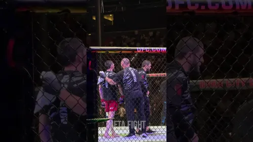 СОГЛАСНЫ с решением? Уланбеков победил Максума на UFC Баку