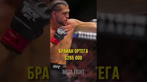 Гонорары UFC 306: сколько денег заработали Двалишвили, Шевченко и Лопес?
