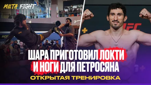 БЕШЕНЫЕ УДАРЫ для Петросяна | СНОГШИБАТЕЛЬНАЯ тренировка ШАРЫ БУЛЛЕТА