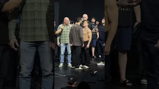 Хабиб ВЫВЕЛ Уланбекова на СТЕРДАУН с Карпентерем перед UFC 311