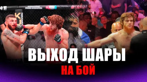 ВЫХОД Шары Буллета на бой против Олексийчука | Абу-Даби ЛЮБИТ россиянина