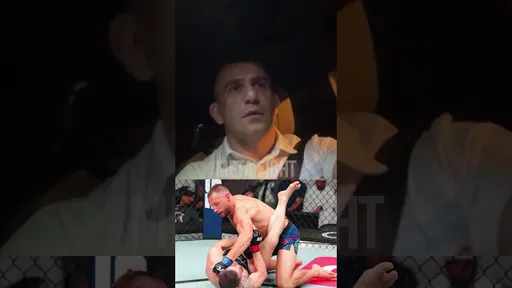 Де Риддер вряд ли выиграет у Чимаева или дю Плесси | Торосян
